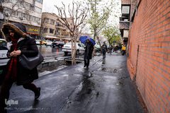 بارش باران در تهران