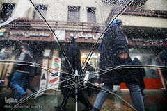 بارش باران در تهران