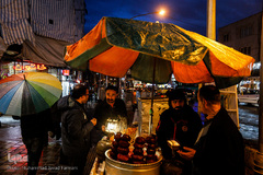 بارش باران در تهران