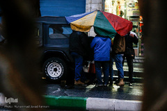 بارش باران در تهران