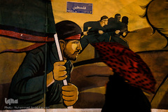 بارش باران در تهران