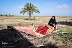 وضعیت مناطق سیل زده در خوزستان