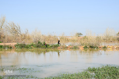 وضعیت مناطق سیل زده در خوزستان
