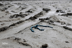 خشک شدن تالاب بین المللی گاوخونی