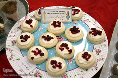 دومین جشنواره درون دانشگاهی رویش