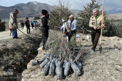آیین درختکاری در پارک جنگلی  سد«لتیان» در شمال شرق استان تهران