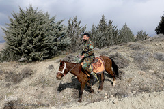 آیین درختکاری در پارک جنگلی  سد«لتیان» در شمال شرق استان تهران