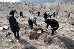 آیین درختکاری در پارک جنگلی  سد«لتیان» در شمال شرق استان تهران