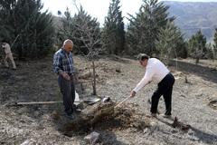 آیین درختکاری در پارک جنگلی  سد«لتیان» در شمال شرق استان تهران