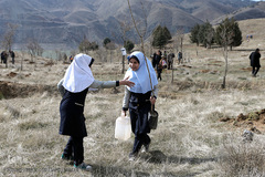 آیین درختکاری در پارک جنگلی  سد«لتیان» در شمال شرق استان تهران
