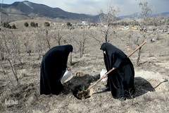 آیین درختکاری در پارک جنگلی  سد«لتیان» در شمال شرق استان تهران