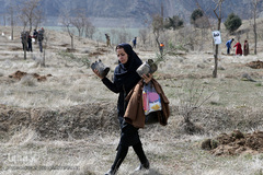 آیین درختکاری در پارک جنگلی  سد«لتیان» در شمال شرق استان تهران