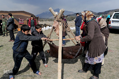 آیین درختکاری در پارک جنگلی  سد«لتیان» در شمال شرق استان تهران