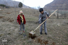 آیین درختکاری در پارک جنگلی  سد«لتیان» در شمال شرق استان تهران