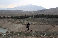 آیین درختکاری در پارک جنگلی  سد«لتیان» در شمال شرق استان تهران