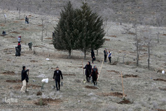 آیین درختکاری در پارک جنگلی  سد«لتیان» در شمال شرق استان تهران