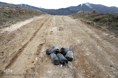 آیین درختکاری در پارک جنگلی  سد«لتیان» در شمال شرق استان تهران