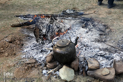 آیین درختکاری در پارک جنگلی  سد«لتیان» در شمال شرق استان تهران