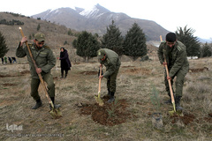 آیین درختکاری در پارک جنگلی  سد«لتیان» در شمال شرق استان تهران