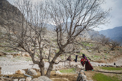 زنی در تکاپوی زندگی در نزدیکی روستای ده‌عودی، رخت و لباس‌ها را از لابلای شاخه‌های در هم تنیده و خشک بیرون می‌کشد.