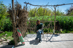 شکوفه‌ دادن درختان زردآلو در روستای منصوریه بهبهان