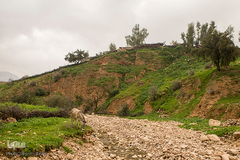 طبیعت شگفت انگیز خوزستان