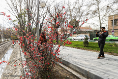 حال و هوای بهاری در شهر تهران