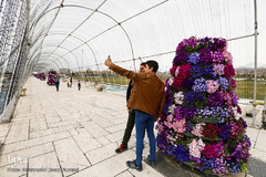 حال و هوای بهاری در شهر تهران