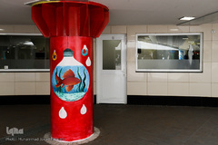 حال و هوای بهاری در شهر تهران