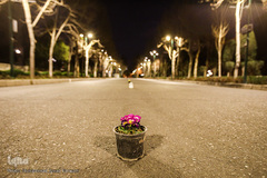 آغاز مراسم اعتکاف در مسجد دانشگاه تهران