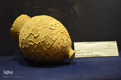 موزه آثار باستانی در شوش