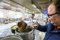 معلولین و سالمندان کهریزک میهمان هم‌نمک شدند
