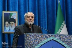 محمدحسین رجبی دوانی، مورخ و پژوهشگر تاریخ اسلام 