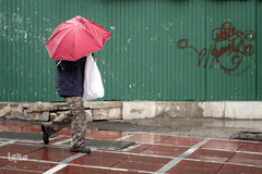 اولین باران بهاری در تهران