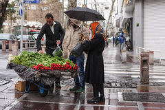 اولین باران بهاری در تهران