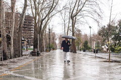 اولین باران بهاری در تهران