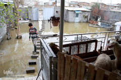 سیل به «گمیشان» رسید