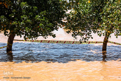 بالا آمدن سطح آب رودخانه کارون