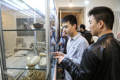 کاخ موزه نیاوران