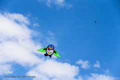 سیزدهم فروردین روز طبیعت