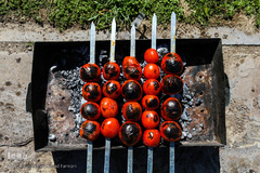 سیزدهم فروردین روز طبیعت