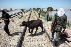 روستاهای گرفتار در سیل منطقه بامدژ