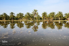سیل در روستاهای غزاویه
