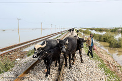 معلق میان حال و آینده