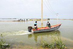 معلق میان حال و آینده