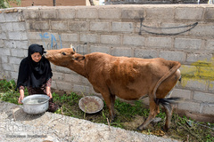 معلق میان حال و آینده