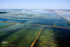 تصاویر هوایی مناطق سیل زده خوستان