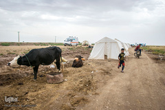 حکایت خانه‌های ناامن