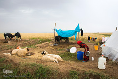 حکایت خانه‌های ناامن