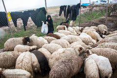 حکایت خانه‌های ناامن